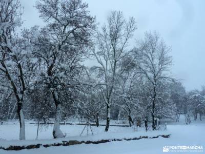 nieve, invierno, cañada; siete picos senda del cares parque picos de europa